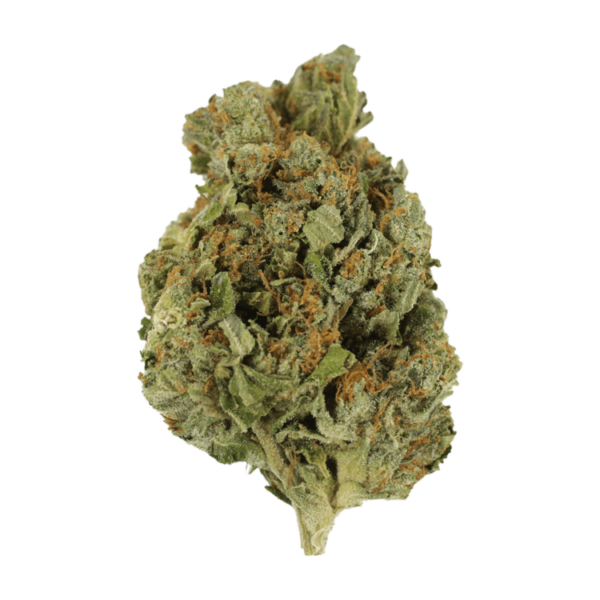 Mango Cream | Canna Cabana Canada