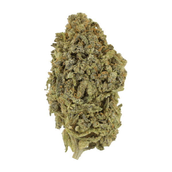 Watermelon Gelato | Canna Cabana Canada