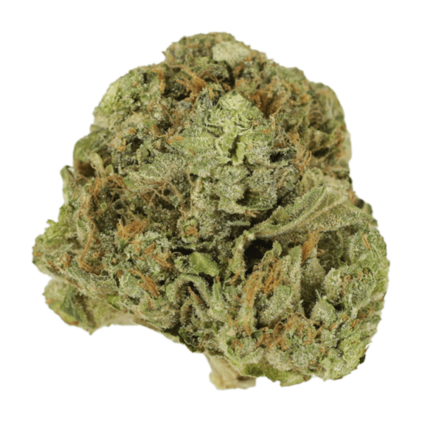 Mango Cream | Canna Cabana Canada