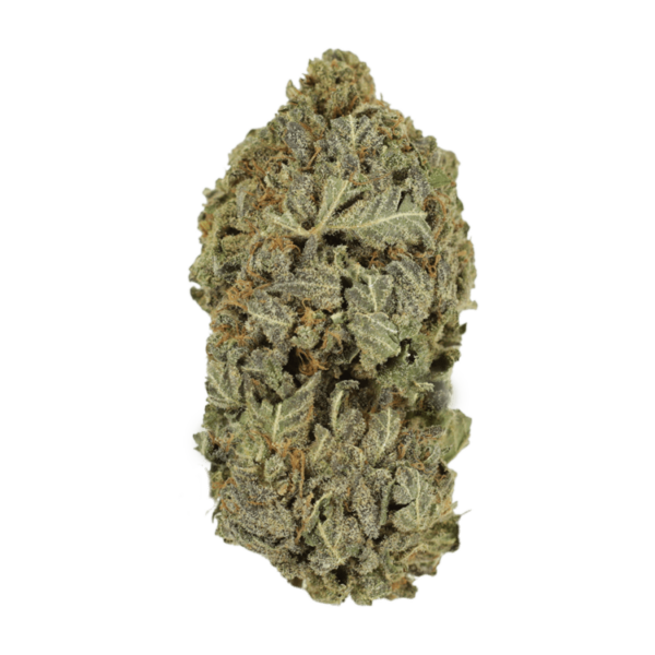 Purple Dream | Canna Cabana Canada