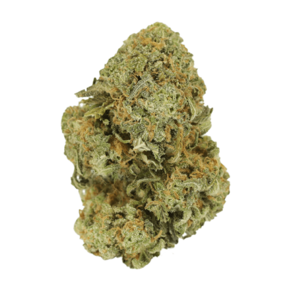 Watermelon Gelato | Canna Cabana Canada