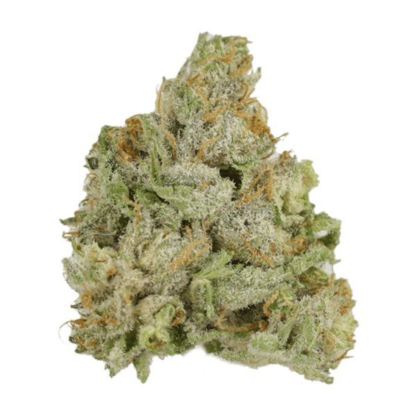 El Jefe | Canna Cabana Canada