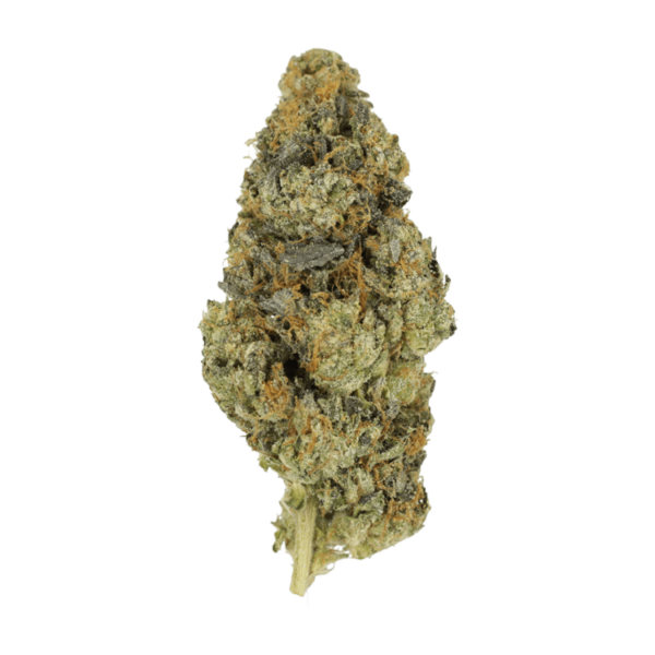DoSi Face | Canna Cabana Canada