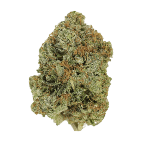 Jack Herer (popcorn) | Canna Cabana Canada