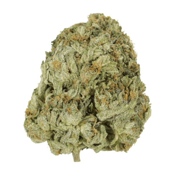 Godzilla Glue | Canna Cabana Canada