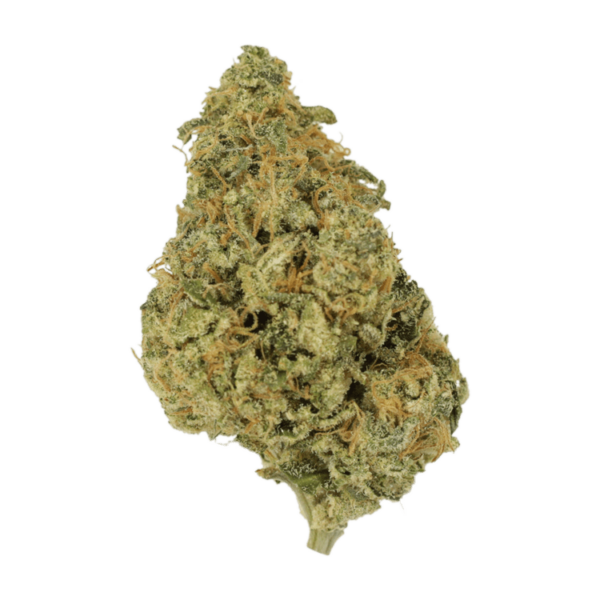 OG Lemon Haze | Canna Cabana Canada
