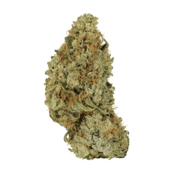 Pink Hawaiian | Canna Cabana Canada