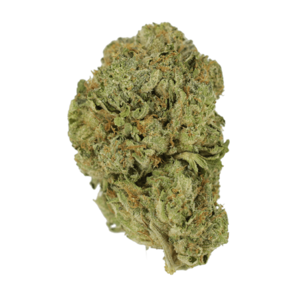 Super Blue Dream | Canna Cabana Canada