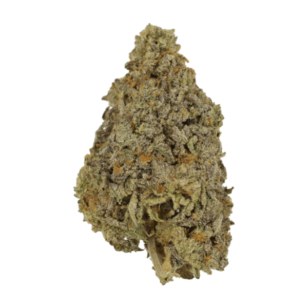 Frosty Gelato | Canna Cabana Canada