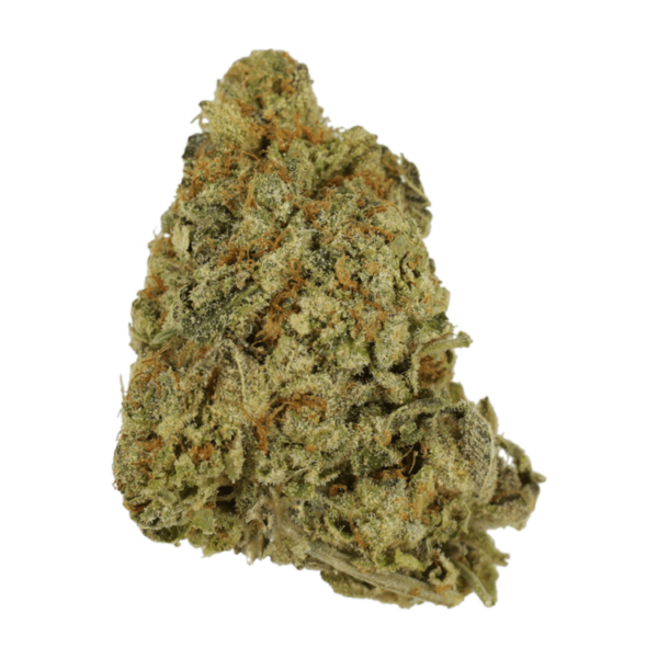 G Whiz | Canna Cabana Canada