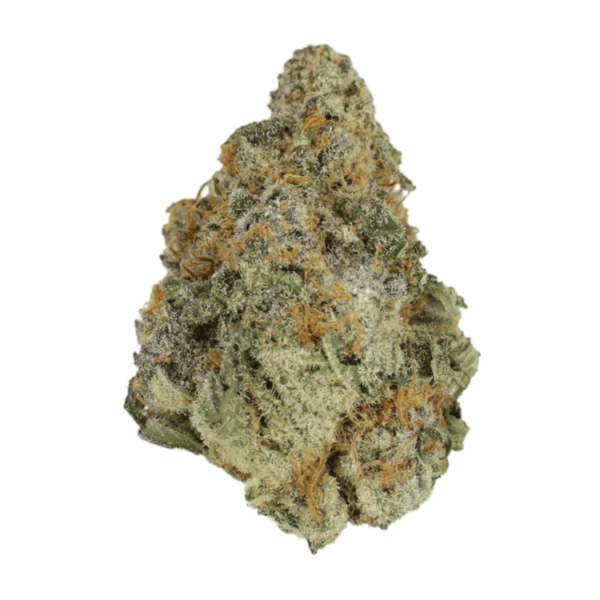 Purple Hindu Kush | Canna Cabana Canada