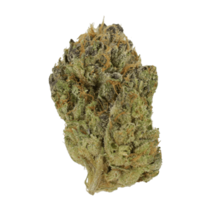 Blueberry Muffin | Canna Cabana Canada