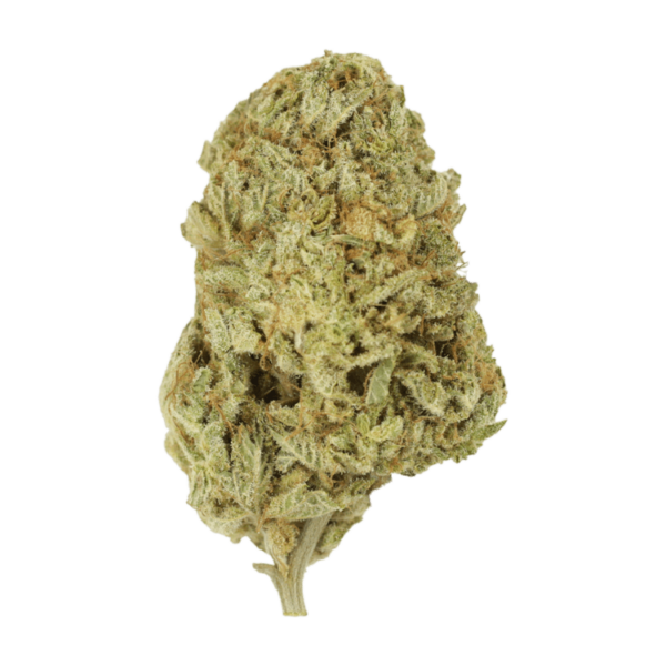 Face Mints | Canna Cabana Canada