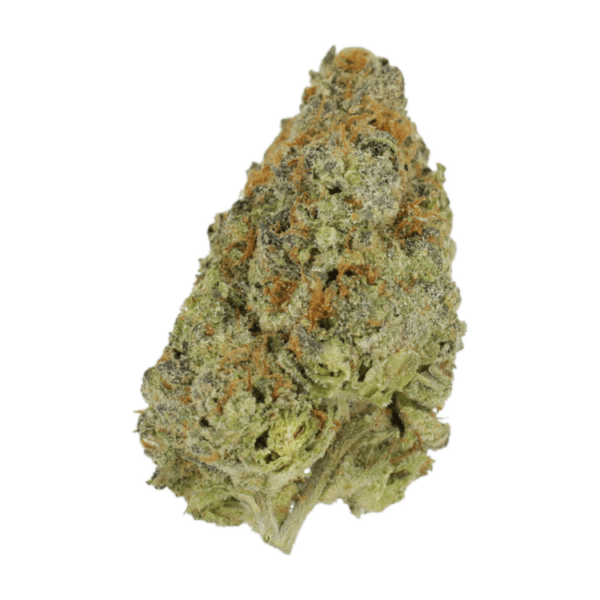 Lilac Diesel | Canna Cabana Canada