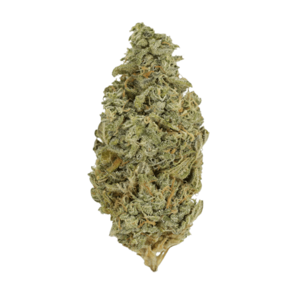 Orange Cookies | Canna Cabana Canada