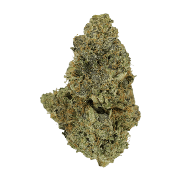 Purple Urkle | Canna Cabana Canada