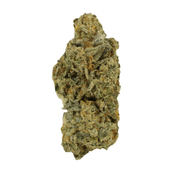 Cinderella 99 | Canna Cabana Canada