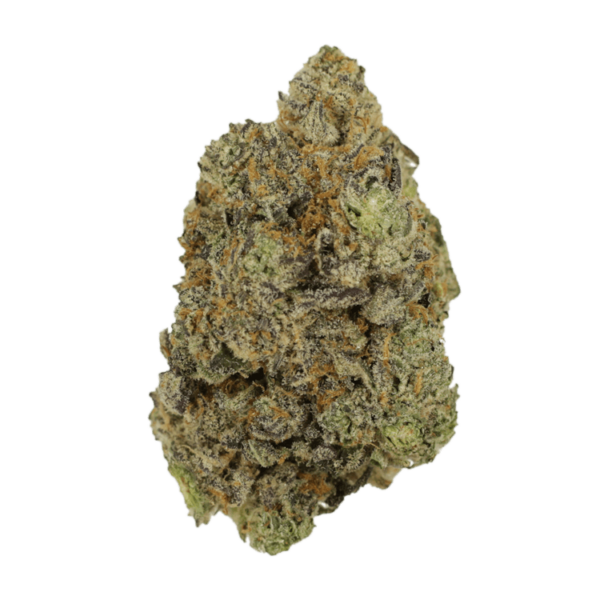 Hash Plant | Canna Cabana Canada