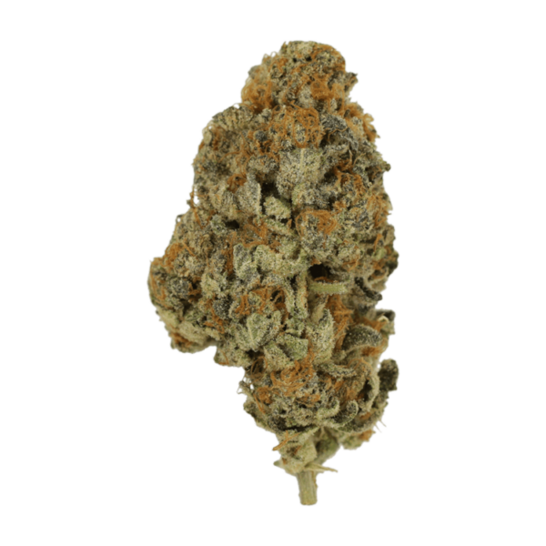 Key Lime Pie | Canna Cabana Canada
