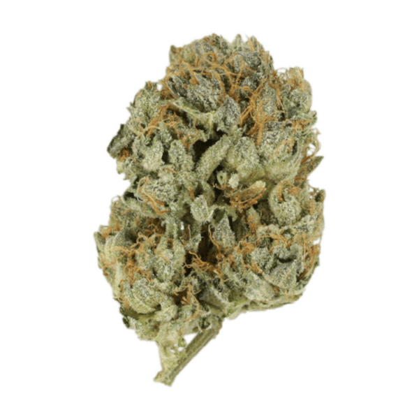 Kashmir Kush | Canna Cabana Canada