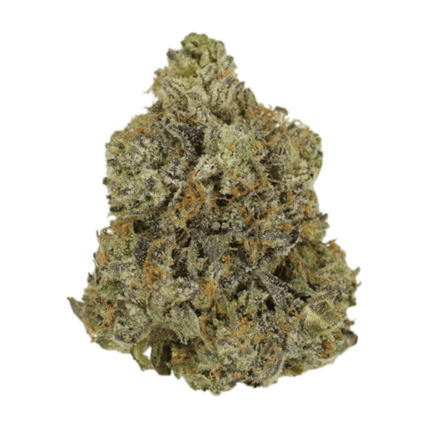 Rockstar | Canna Cabana Canada