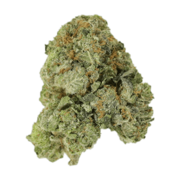 White Russian | Canna Cabana Canada