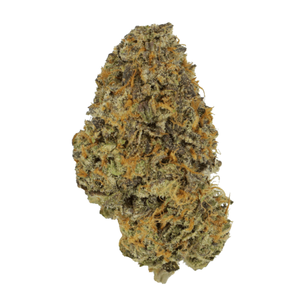 Blackberry Nightmare | Canna Cabana Canada