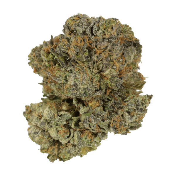 Chocolate Mint | Canna Cabana Canada