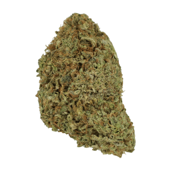Super Pink | Canna Cabana Canada