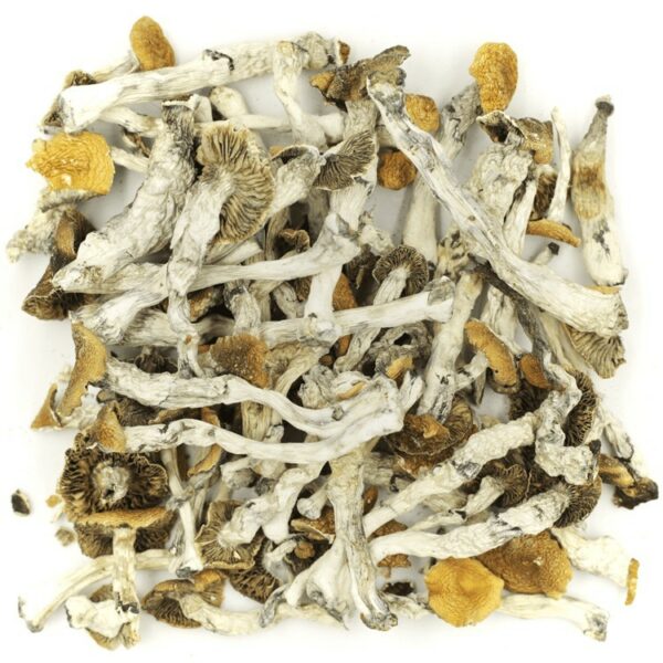 Golden Teacher | Canna Cabana Canada