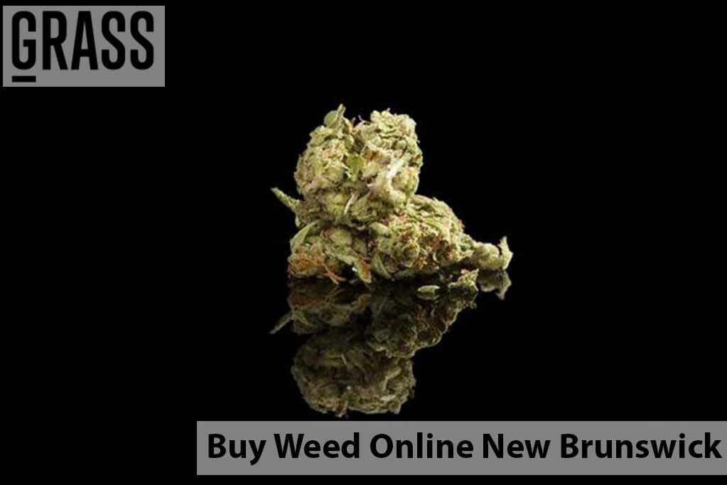 Canna Cabana Canada – Your Online Dispensary New Brunswick | Canna Cabana Canada | Canna Cabana Canada