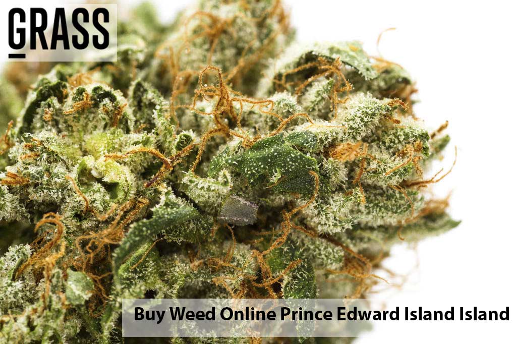Buy cannabis Online Prince Edward Island | Canna Cabana Canada | Canna Cabana Canada