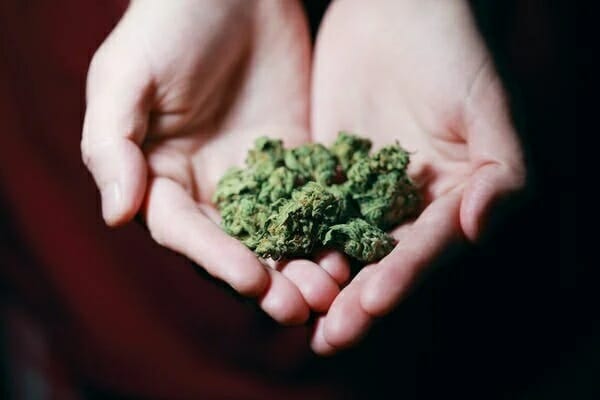 Buy cannabis Online Prince Edward Island | Canna Cabana Canada | Canna Cabana Canada