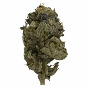 Canna Cabana Canada - Pink Gas Strain | Canna Cabana Canada