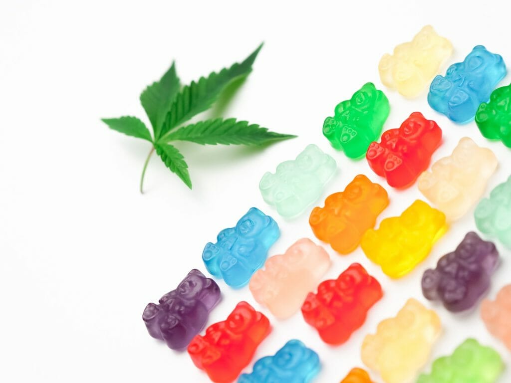 Edible Delights: A Guide to the Most Delicious cannabis in Edmonton | Canna Cabana Canada | Canna Cabana Canada