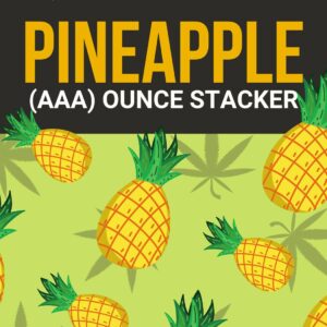 Pineapple 1 OZ Kit | Canna Cabana Canada